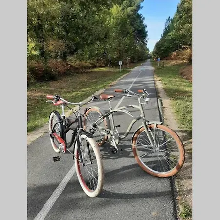 La Cassy Hébergement de vacances Lanton